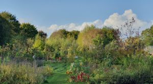 Restore's Elder Stubbs project site