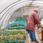 Beehive recovery group volunteer