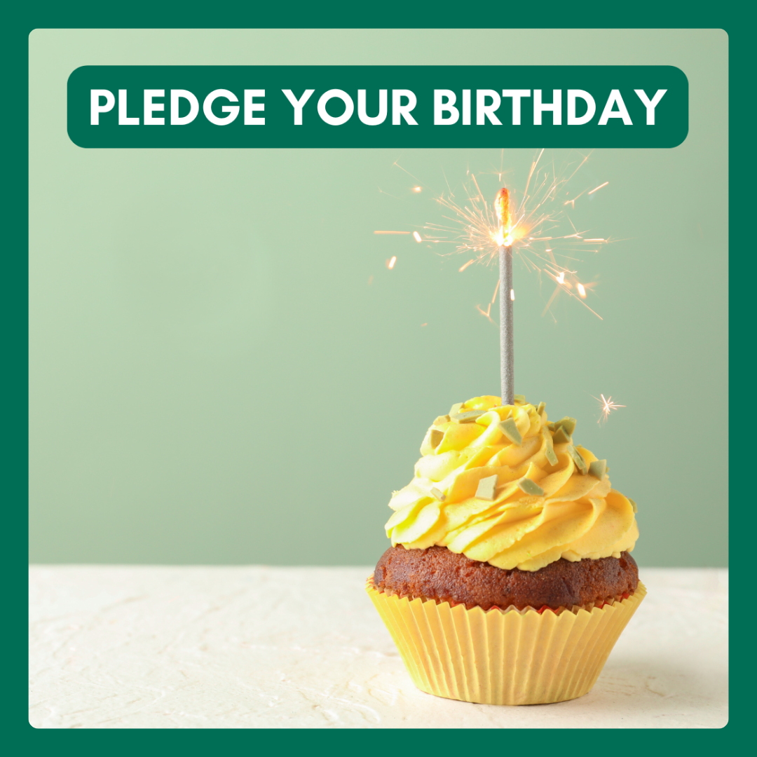 Pledge your birthday